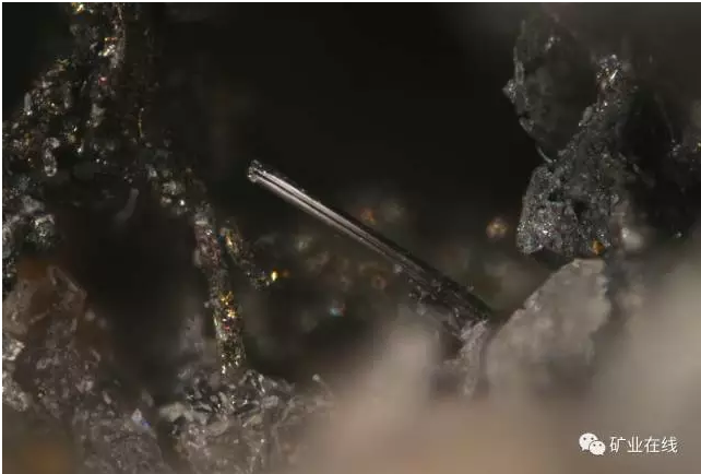 c3a15dc24d1f4df051059d8eab62d7e8.png 31.png